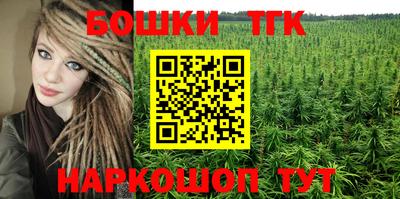 гидропоника Аша