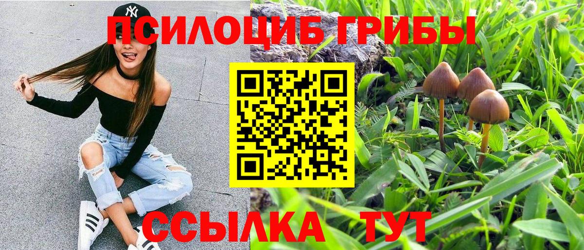 Псилоцибиновые грибы Psilocybe  Вход с VPN  Белебей 